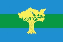 Флаг Амурский муниципальный район